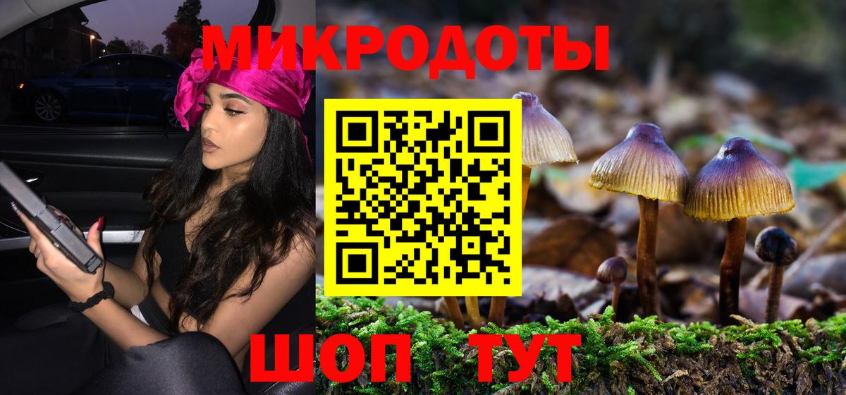 Киржач  Псилоцибиновые грибы MAGIC MUSHROOMS  Вход с VPN 